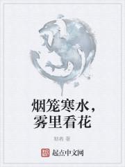 烟笼寒水月笼沙原文