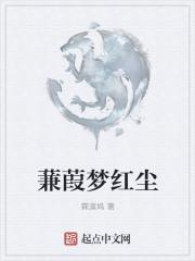 蒹葭一人