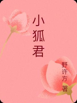 小狐君君 茶叶蛋