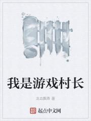 我是村民怎么样