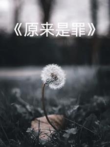 你的爱是何等的