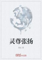 灵尊灵宗怎么排